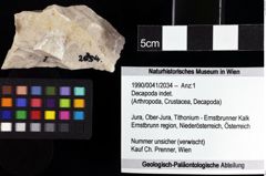 Foto (Objket + Etiketten) von Decapoda indet. 